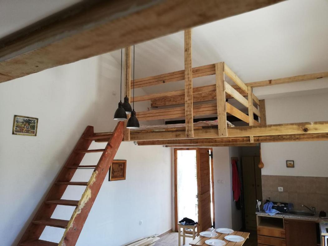 Apartment Zola Gornji Karin Exteriör bild